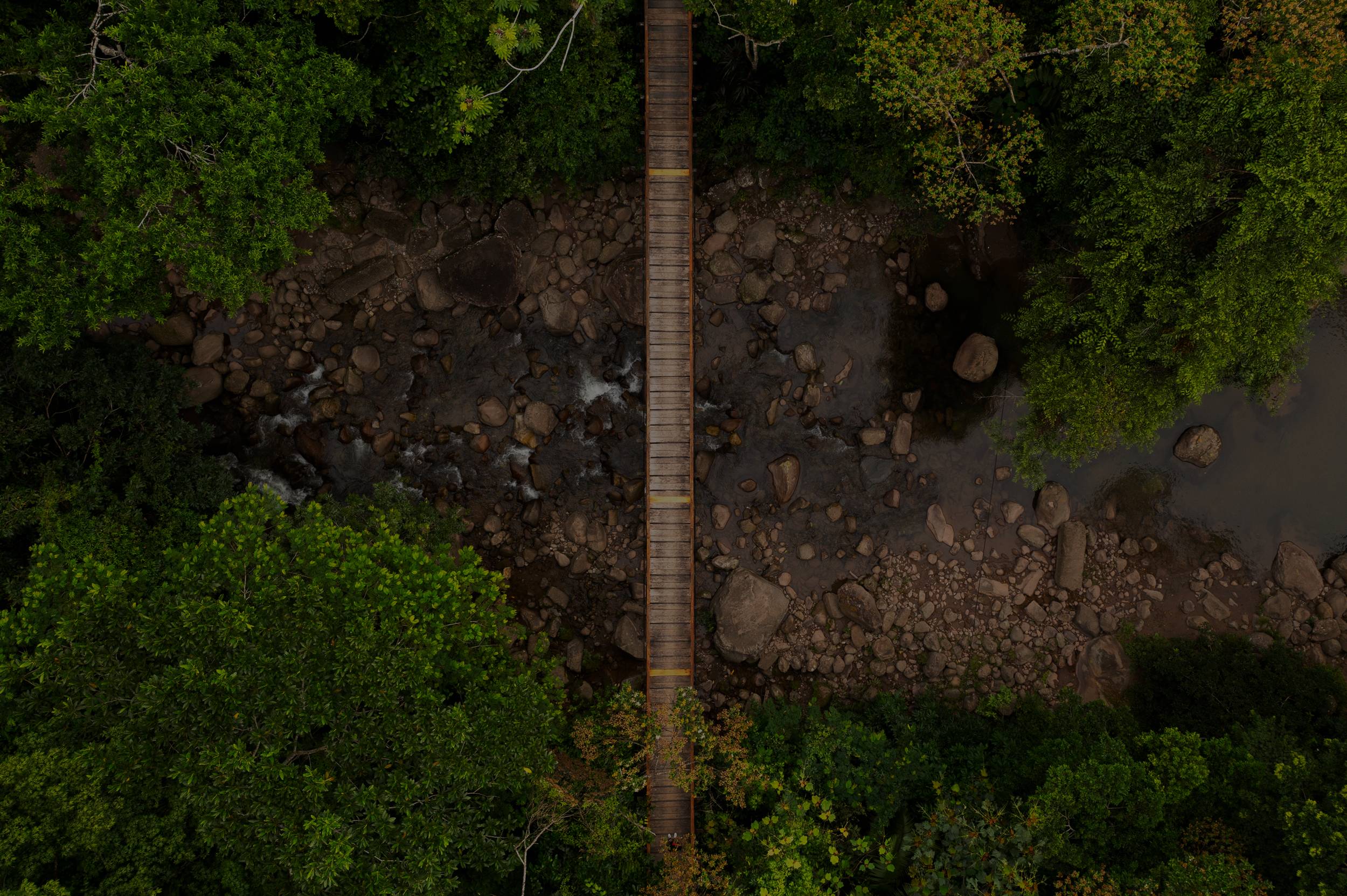 Parallax Imagen primary